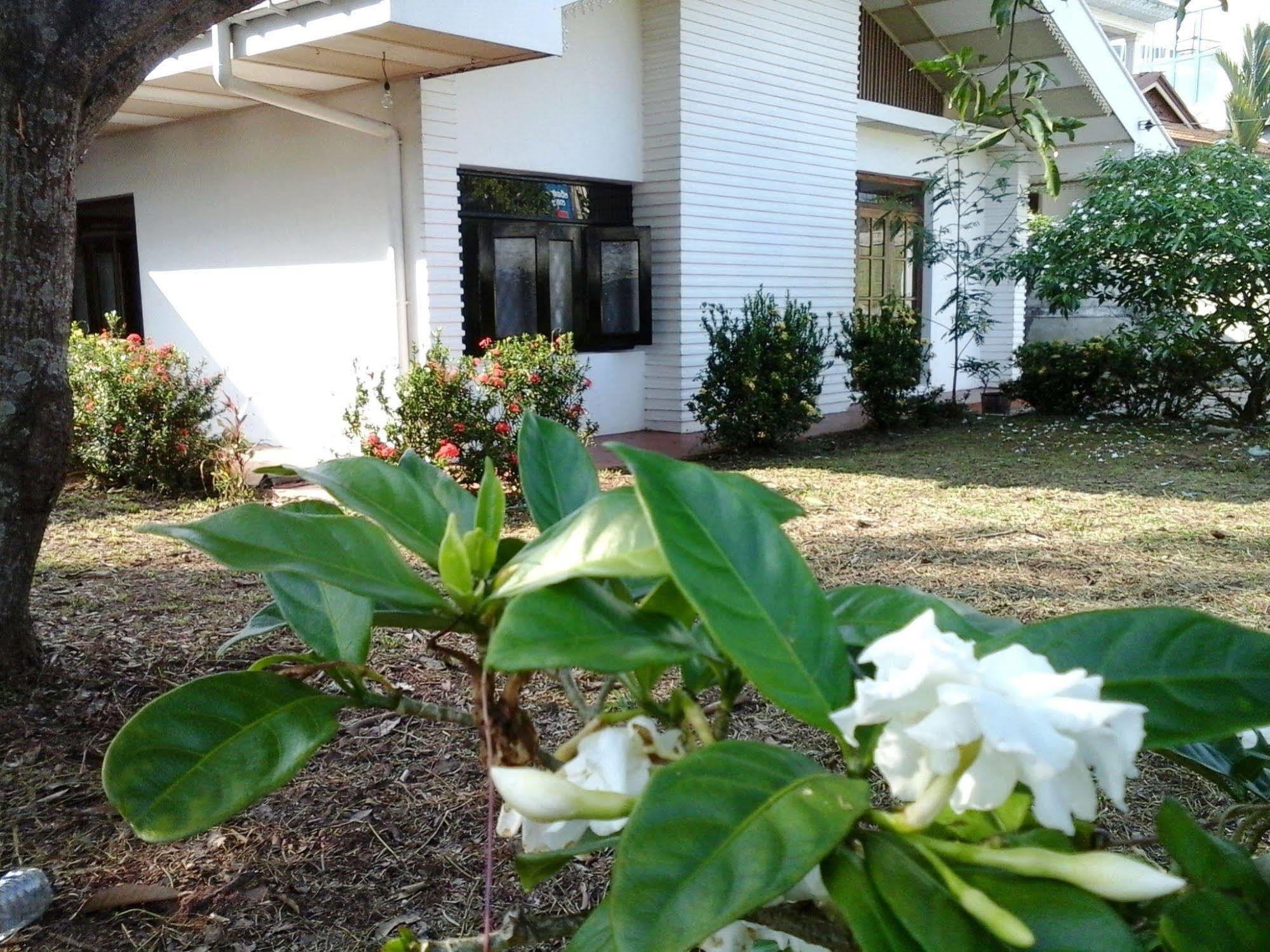 נגומבו Mazz Homestay מראה חיצוני תמונה