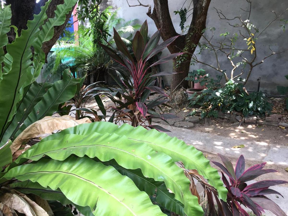 נגומבו Mazz Homestay מראה חיצוני תמונה